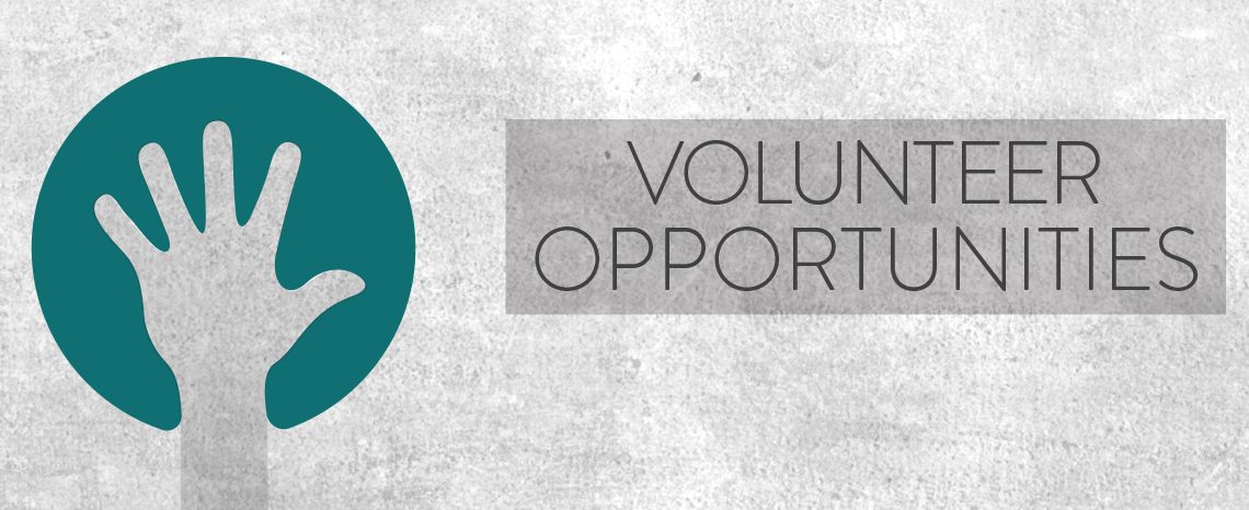 New Volunteer Opportunities